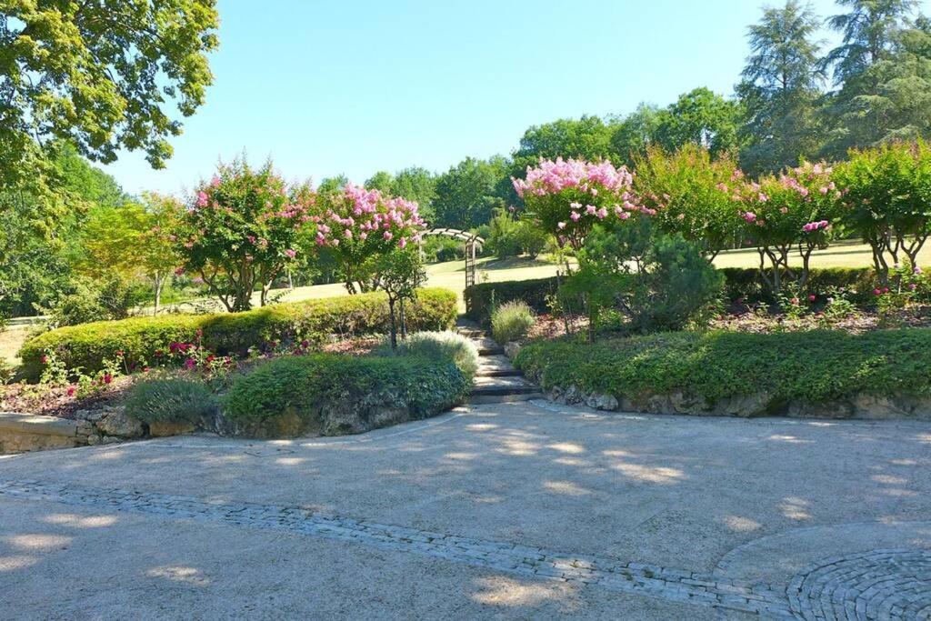 Chateau La Carriere 圣西普里安 外观 照片