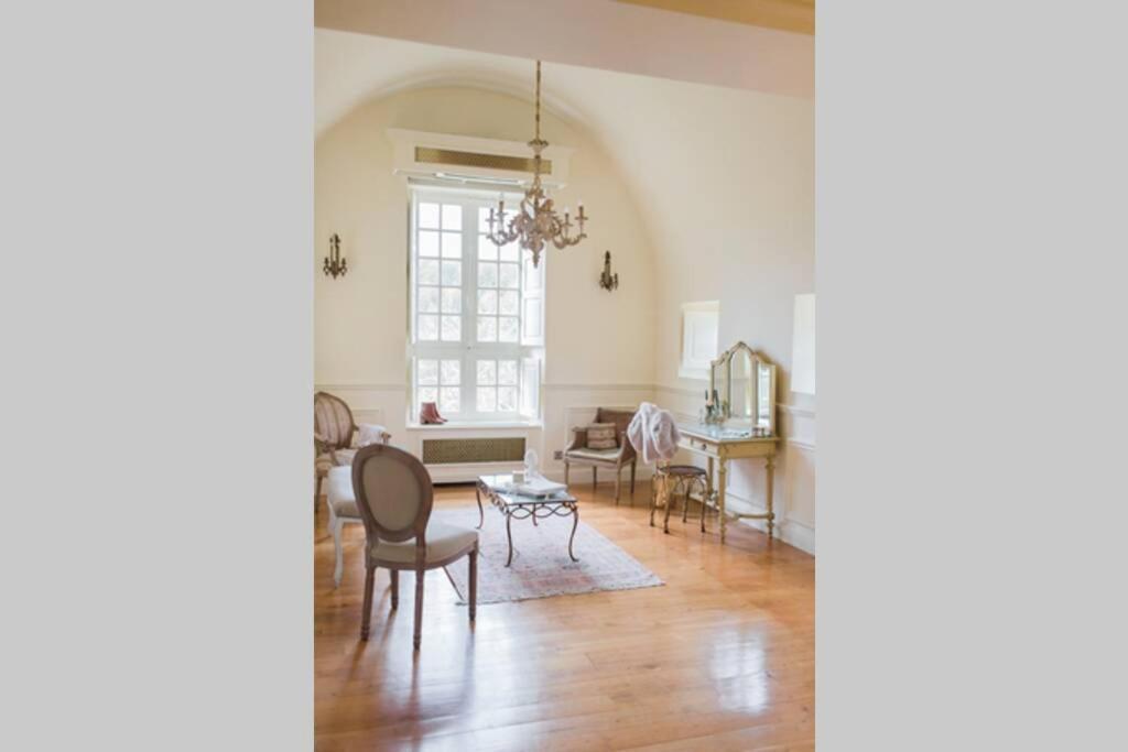 Chateau La Carriere 圣西普里安 外观 照片